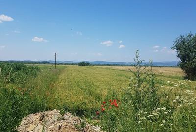 Spațiu comercial, în Dobârlău - 4