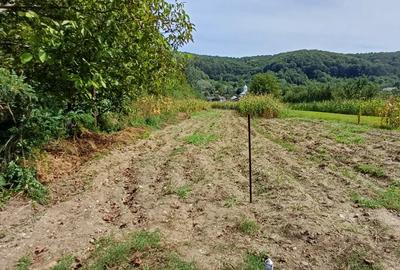 Teren agricol sat.Voroveni - 7