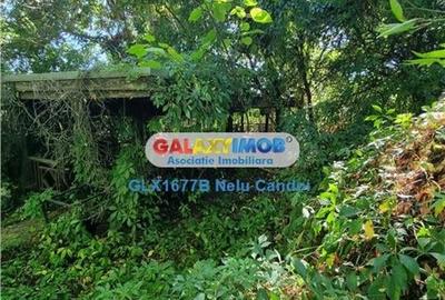 VANZARE 10.000 MP LOCALITATEA ILEANA 49 KM BUCURESTI - 20