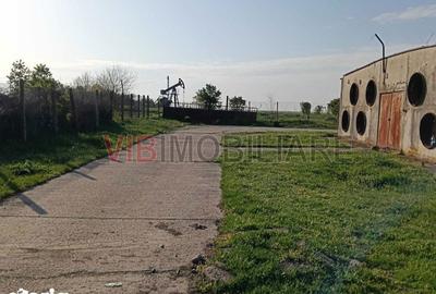 Teren de 40000 mp, în Orțișoara - 6