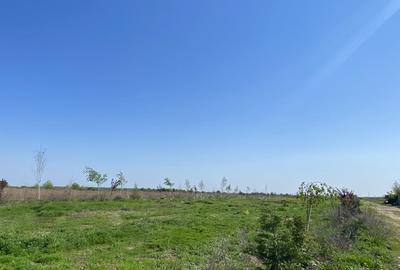 Teren vis a vis Laguna Albastra, Corbeanca - 12