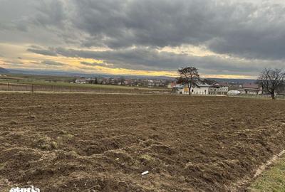 Teren de 27 mp, în Mitocu Dragomirnei - 6