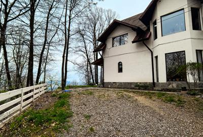 Casă individuală cu 5 camere cu Teren 4825 Mp în Est - 15