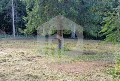 Spațiu comercial, în Porumbacu de Sus - 2