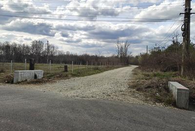 Spațiu comercial, în Lintești - 2