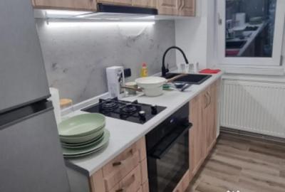 Apartament cu 2 camere semidecomandat, mobilat în Brazda lui Novac - 9