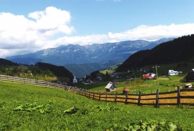 Locatie cu patru anotimpuri intr- o zi, incadrata de 2.350 teren, Bran - Fundata - 13