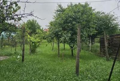 Casă cu 5 camere cu Teren 780 Mp în Gării - 6