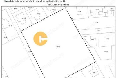 5.000 mp Teren Intravilan in Horpaz - 3