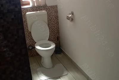 Inchiriez apartament cu o camera Timi?oara, zona Lipovei - 7