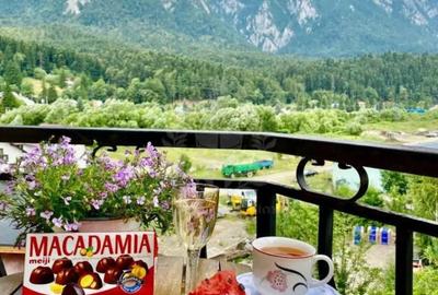 Casă cu 6 camere cu Teren 400 Mp în Zamora - 9