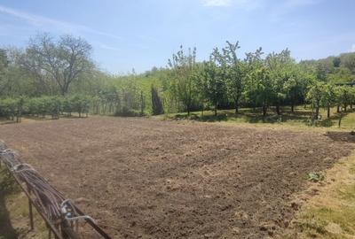 Casă cu 4 camere cu Teren 1900 Mp în Orbeni - 5