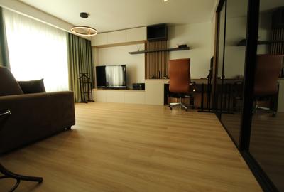 Piata Alba Iulia - Bd. Burebista - bloc mixt - studio complet renovat - 10