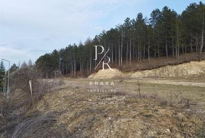 Teren intravilan de 1100 mp, în Mănăștur - 4