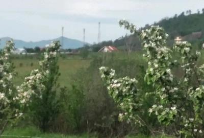 Teren de 2500 mp, în Central - 2