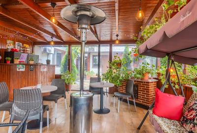 Casă individuală cu 12 camere cu Canalizare în Știrbei Vodă - 17