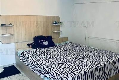 Vila comuna Pantelimon Lebada - 12