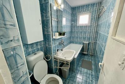 Apartament cu 2 camere nedecomandat, mobilat în Banat - 9