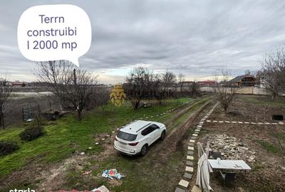Casă cu 6 camere cu Teren 2000 Mp în Gruiu - 7
