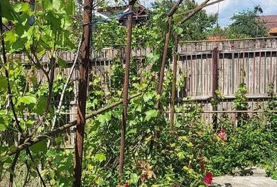 Casă individuală cu 3 camere cu Canalizare în Micro 5 - 16