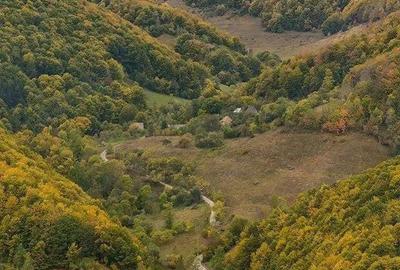 Casă în Valea Inzelului - 2