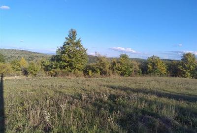 PECO Teren intravilan Saldabagiu De Munte PECO Teren intravilan Saldabagiu De Munte - 4