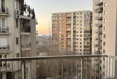 Brancoveanu piata sudului pajistei dubla - 6