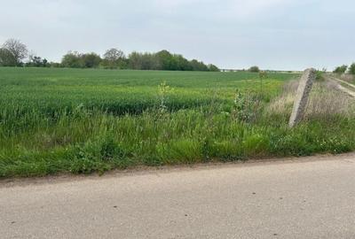 Teren intravilan de 4500 mp, în Dascălu