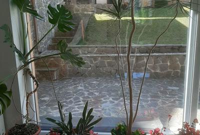 Casă cu 15 camere cu Teren 500 Mp în Platoul Izvor - 8