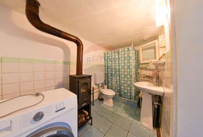 Casa cu 4 camere de vanzare in Buzias - 13