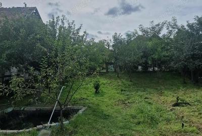 Casă cu 5 camere cu Teren 1000 Mp în Central - 3