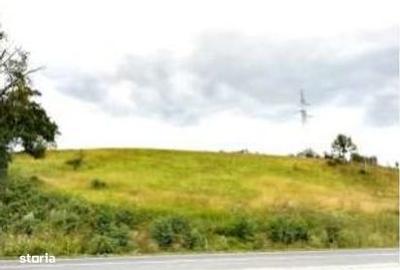 Spațiu comercial, în Cănicea - 4