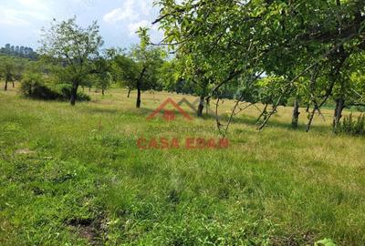 Casă cu Teren 1490 Mp în Voila - 3