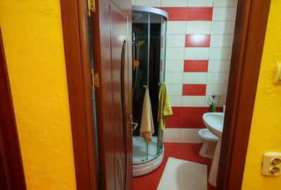 Apartament cu 3 camere decomandat în Crinț - 5