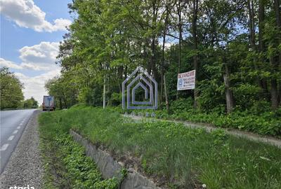 Spațiu comercial, în Drăgușeni - 9