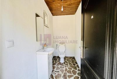 Casa de vacanta 7 camere | Valea Avrigului | teren 1000 mp | video - 25