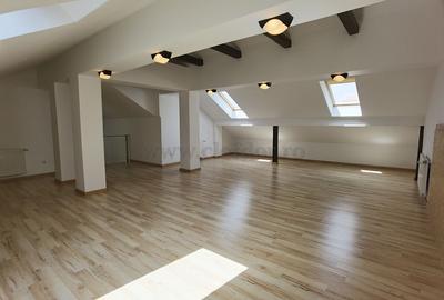 Vilă in zona Iancu Nicolae - 24