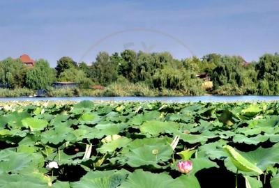 Casă cu 1 camere cu Canalizare în Ghermănești - 7