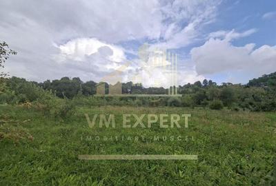 TEREN 20.621 MP CAMPULUNG - 1