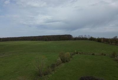 Teren intravilan 5800 mp Mitocasi - Suceava! Teren intravilan 5800 mp Mitocasi - Suceava! - 4