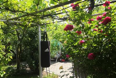 Potențial imobiliar! 2 case in curte, front 30 m, teren 15277 mp - 16