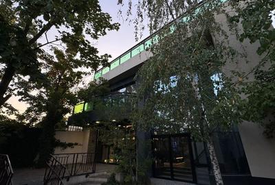 Casă individuală cu 8 camere cu Canalizare în Colentina - 2