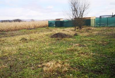 Teren Intravilan Feldioara 537 Mp - 1