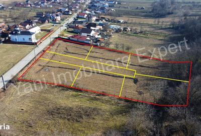 Teren de 5600 mp, în Băiculești - 2