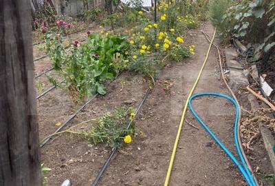 Casă individuală cu 5 camere cu Teren 790 Mp în Bariera Vâlcii - 11