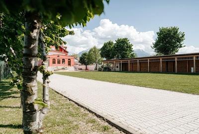 Proximitate fata de Castelul Bran - 52