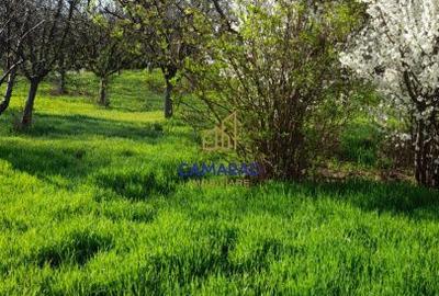 Spațiu comercial, în Tămădău Mare - 18