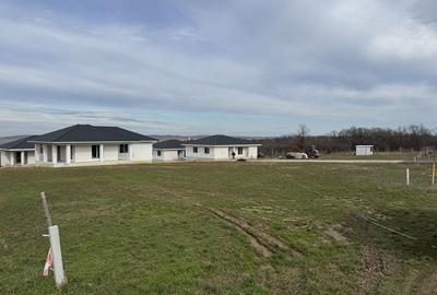 Spațiu comercial, în Paleu - 2