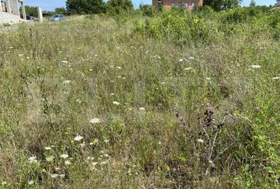 Teren intravilan in Livada Meses cu toate utilitatile - 6