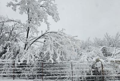 AZURA Imobiliare - Casa la cheie Mosoaia - pret de apartament! - 19